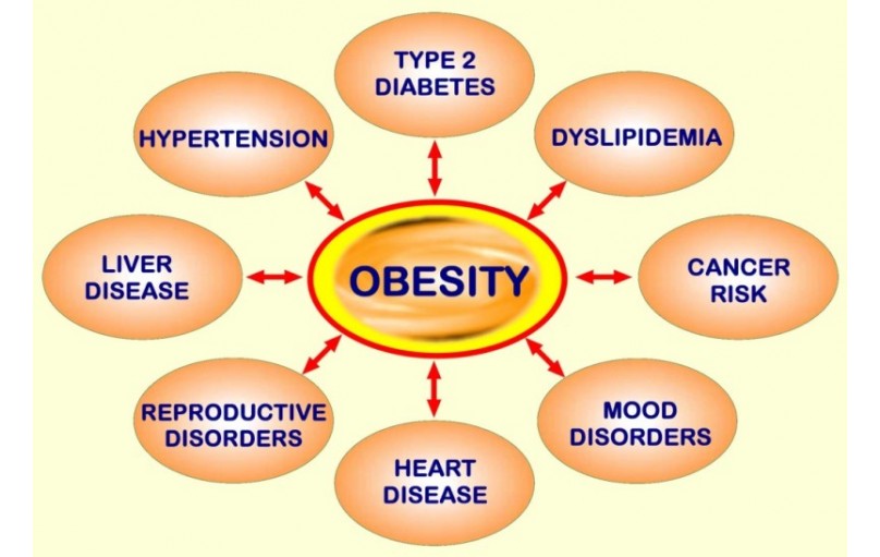 Is-Obesity-Really-Genetic